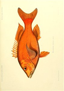 n164_w1150