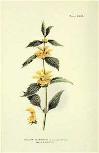 n503_w1150