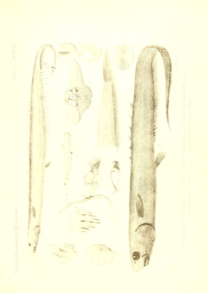 n472_w1150