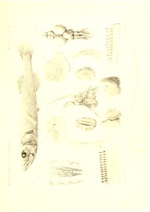 n442_w1150