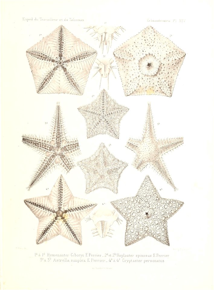 n468_w1150