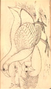 n253_w1150