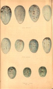 n117_w1150