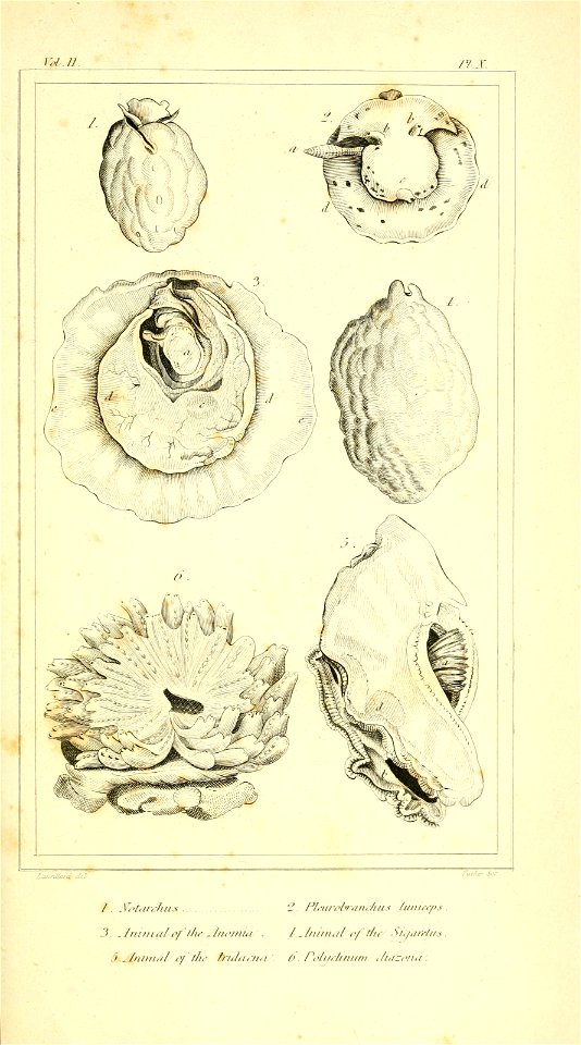 n518_w1150