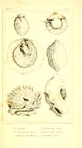 n518_w1150