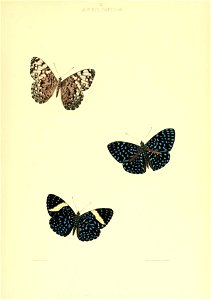 n292_w1150