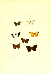 n364_w1150
