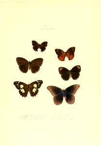 n362_w1150