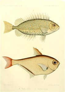 n258_w1150