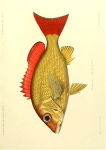 n168_w1150