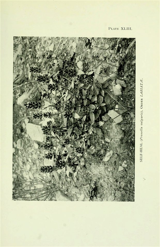 n362_w1150