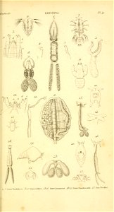 n122_w1150