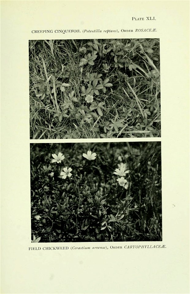 n352_w1150