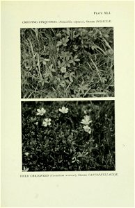 n352_w1150