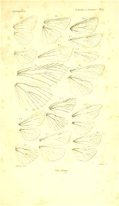 n98_w1150
