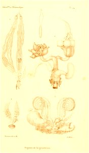 n92_w1150