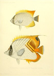 n192_w1150
