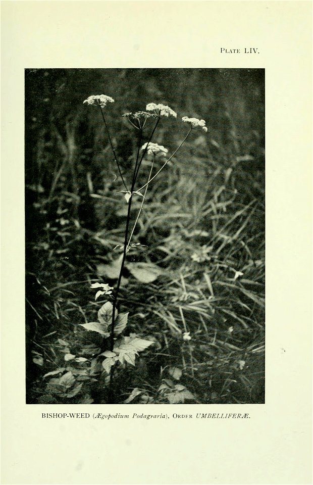 n418_w1150