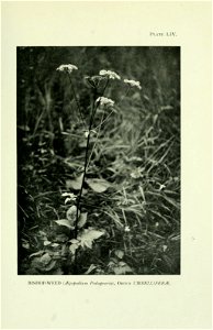 n418_w1150