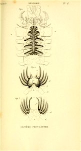 n54_w1150
