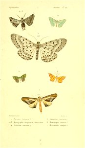 n164_w1150