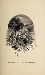n110_w1150