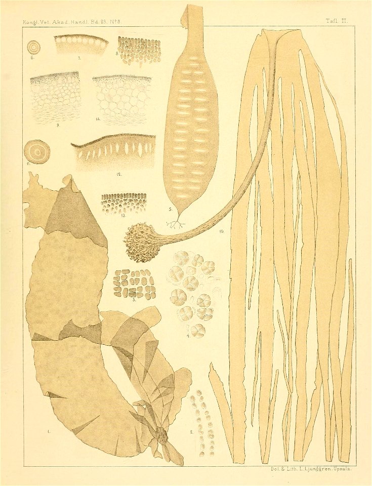 n62_w1150