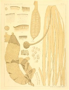 n62_w1150