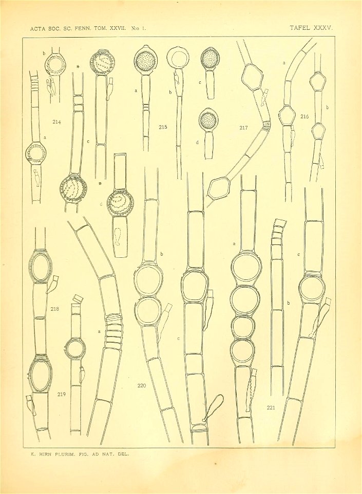 n548_w1150