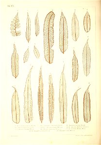 n501_w1150