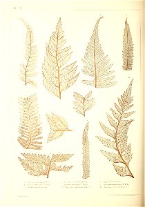 n441_w1150