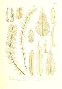 n396_w1150