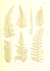 n378_w1150