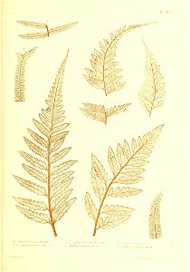 n440_w1150