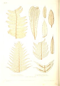 n395_w1150