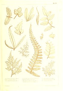 n362_w1150