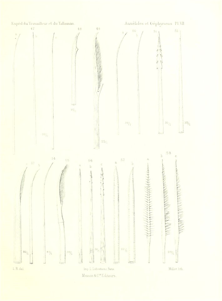 n520_w1150
