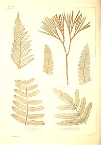 n499_w1150