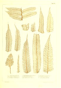 n484_w1150