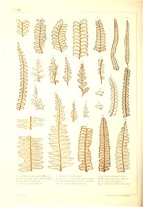 n469_w1150