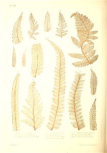 n439_w1150