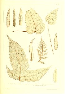 n454_w1150