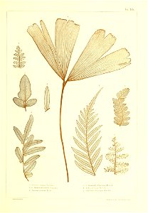 n498_w1150