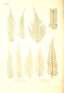 n483_w1150