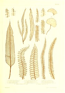 n468_w1150