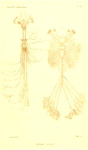 n88_w1150