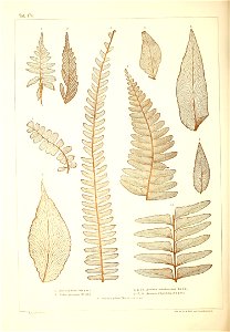 n497_w1150