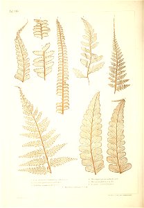 n467_w1150