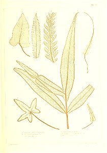 n392_w1150