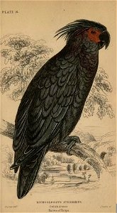 n222_w1150